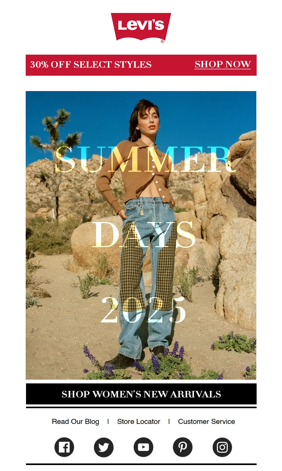 Levis Email Campaign